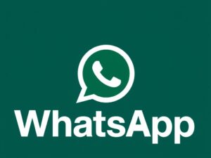 lotazap grupo de whatsapp transformacao digital wordpress