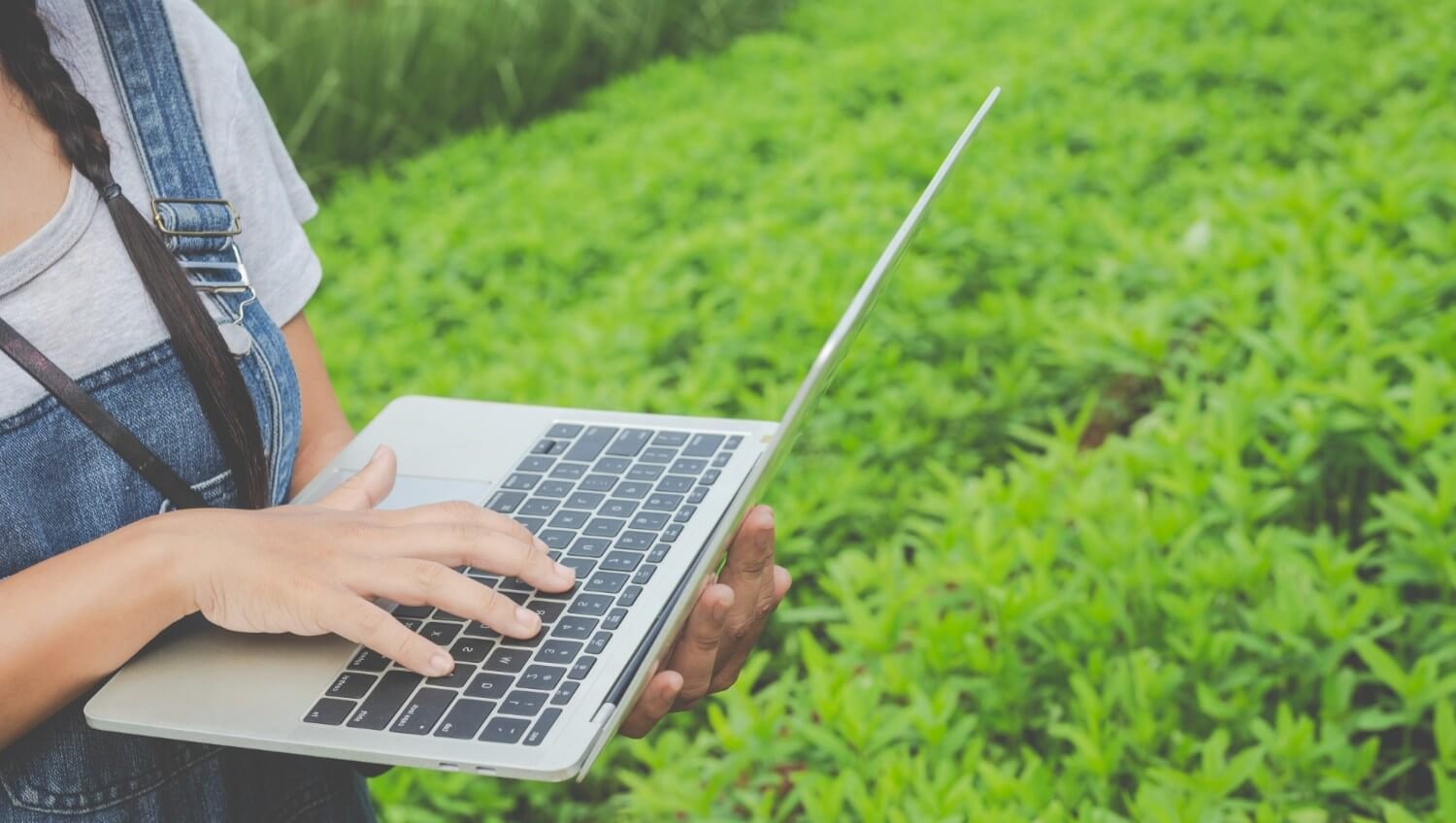 Marketplace e e-commerce de defensivos agrícolas