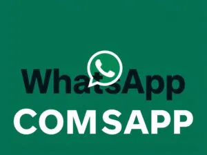 lotazap grupo de whatsapp community management
