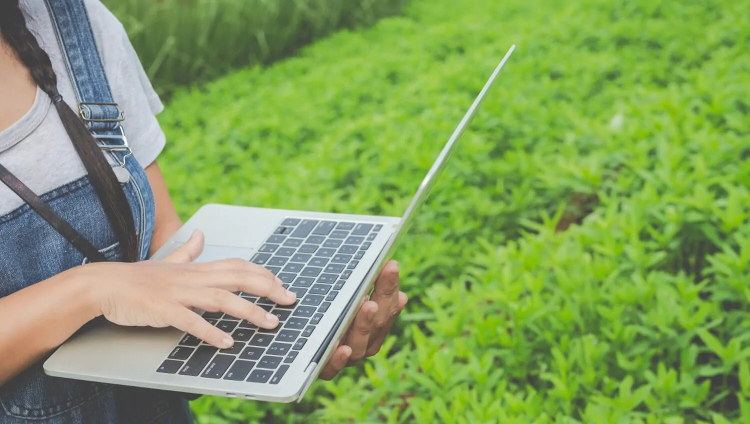Marketplace e e-commerce de defensivos agrícolas